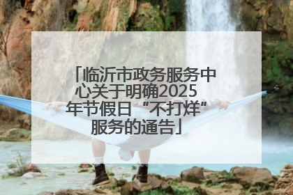 临沂市政务服务中心关于明确2025年节假日“不打烊”服务的通告
